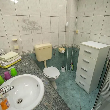 Fredi * 木洛希尼