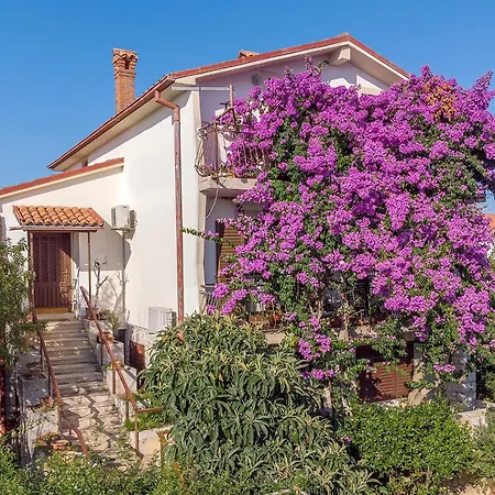 Fredi Apartament *