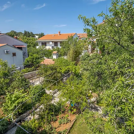 Apartament Fredi *